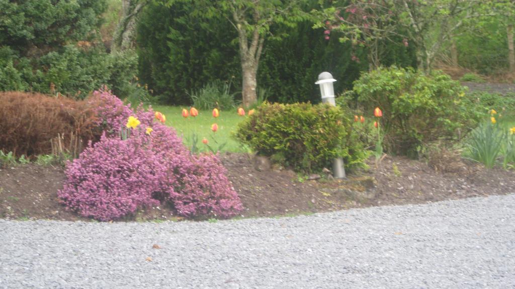 An Bruachan B&B Kenmare Exterior foto