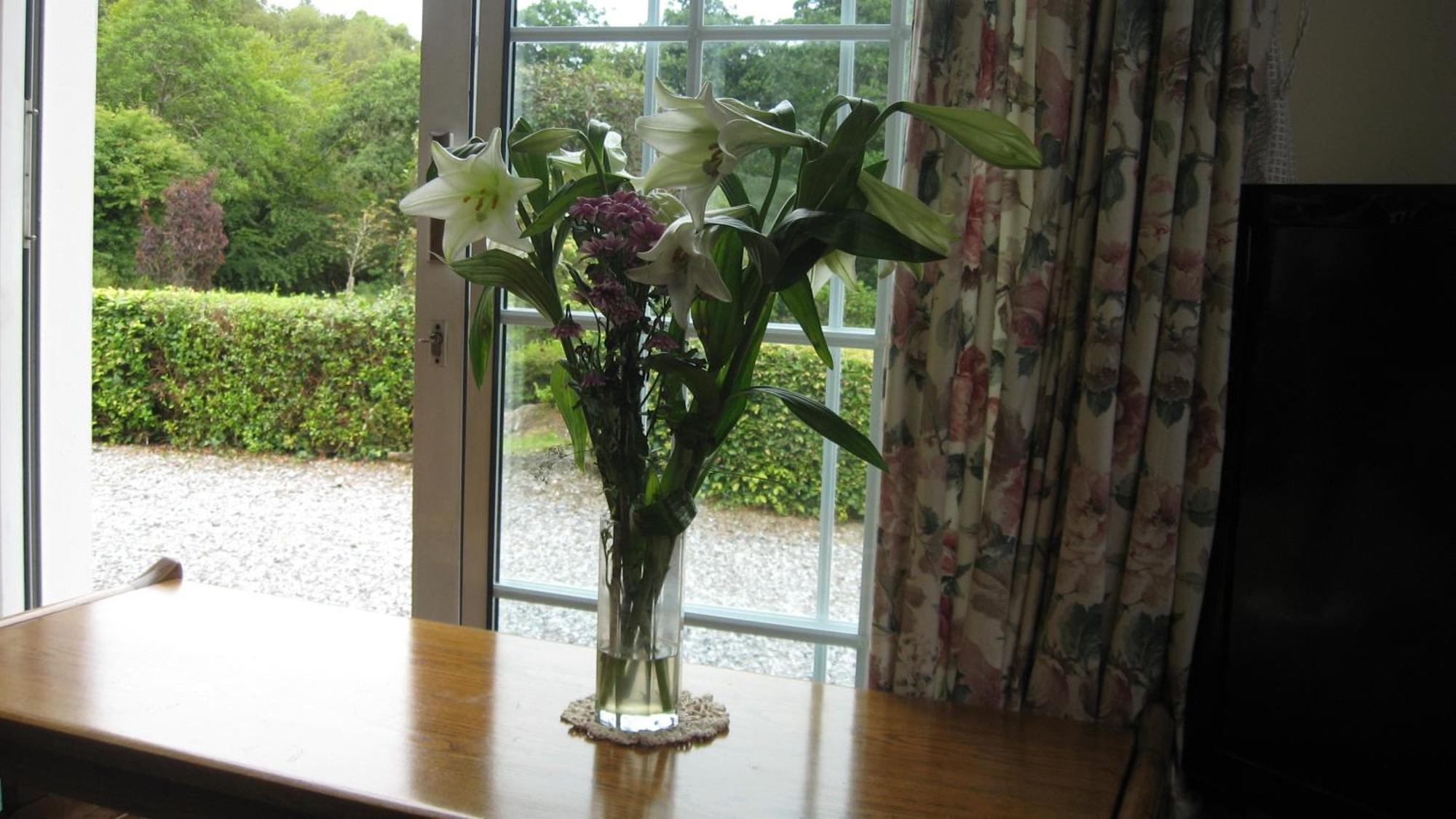 An Bruachan B&B Kenmare Exterior foto