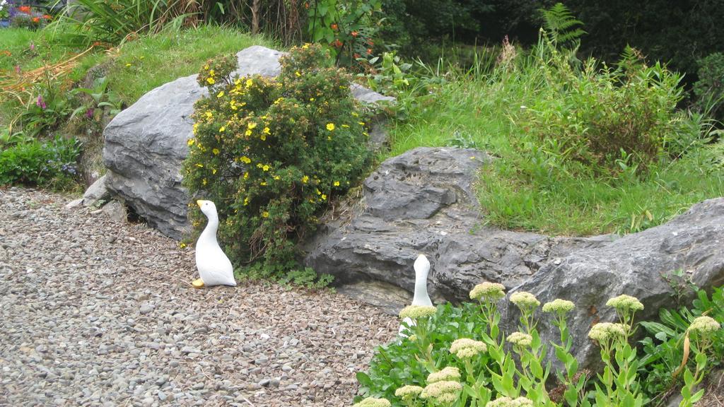 An Bruachan B&B Kenmare Exterior foto